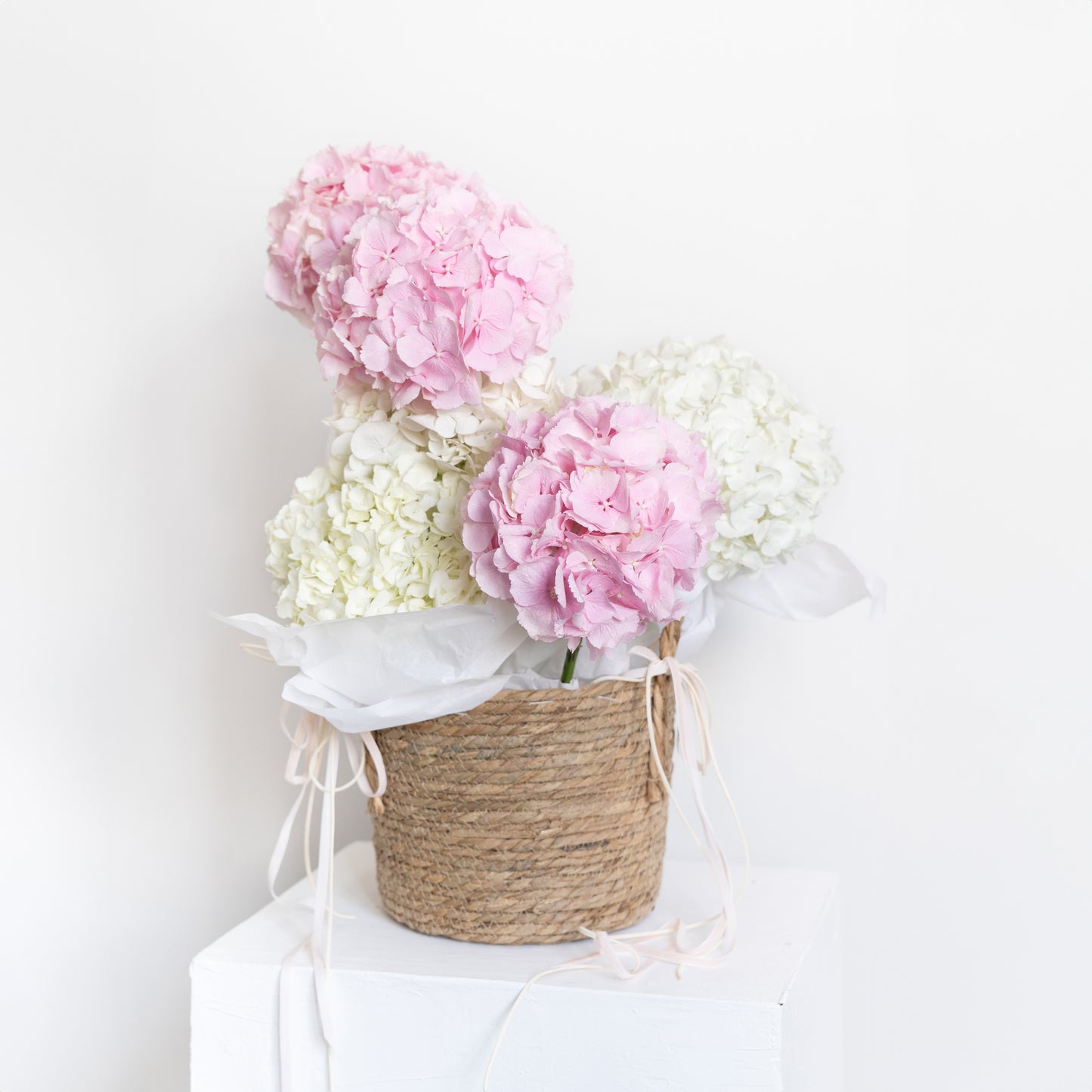 HYDRANGEA BASKET