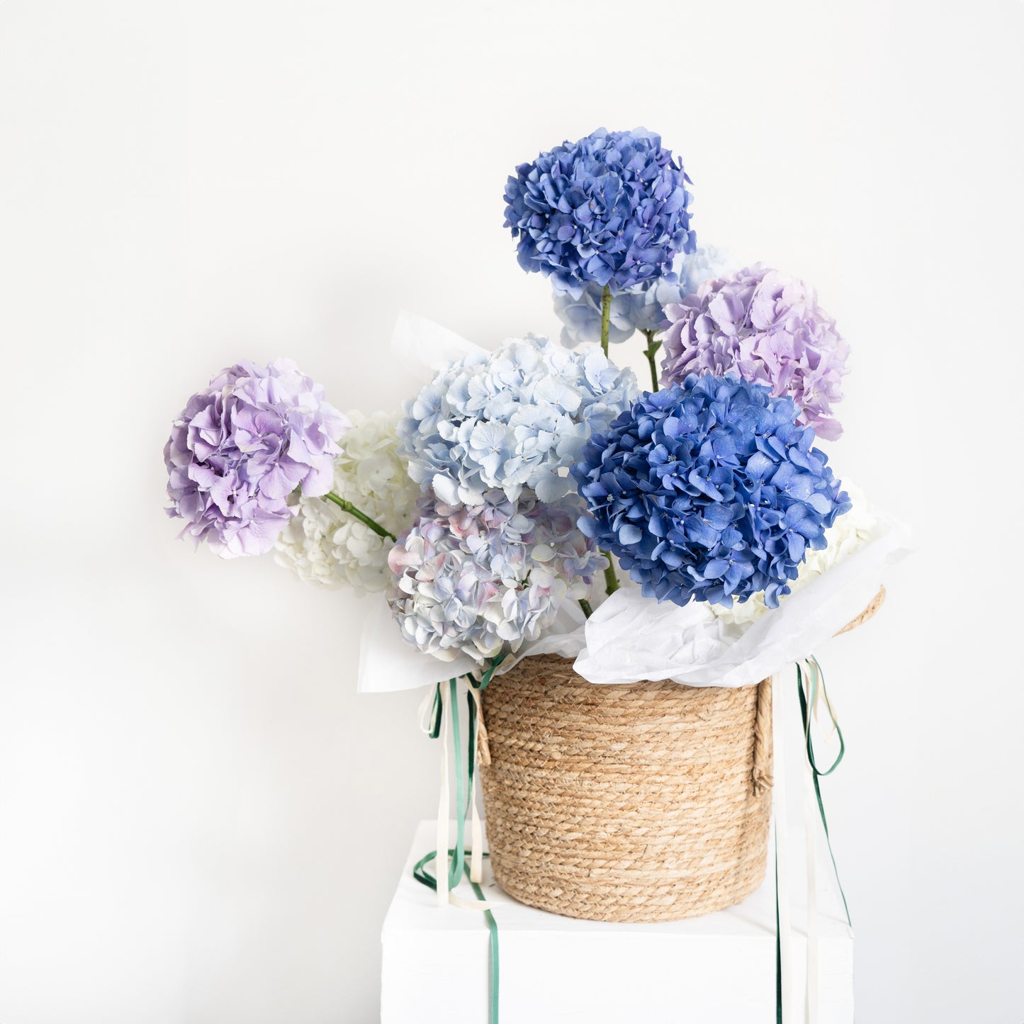 HYDRANGEA BASKET
