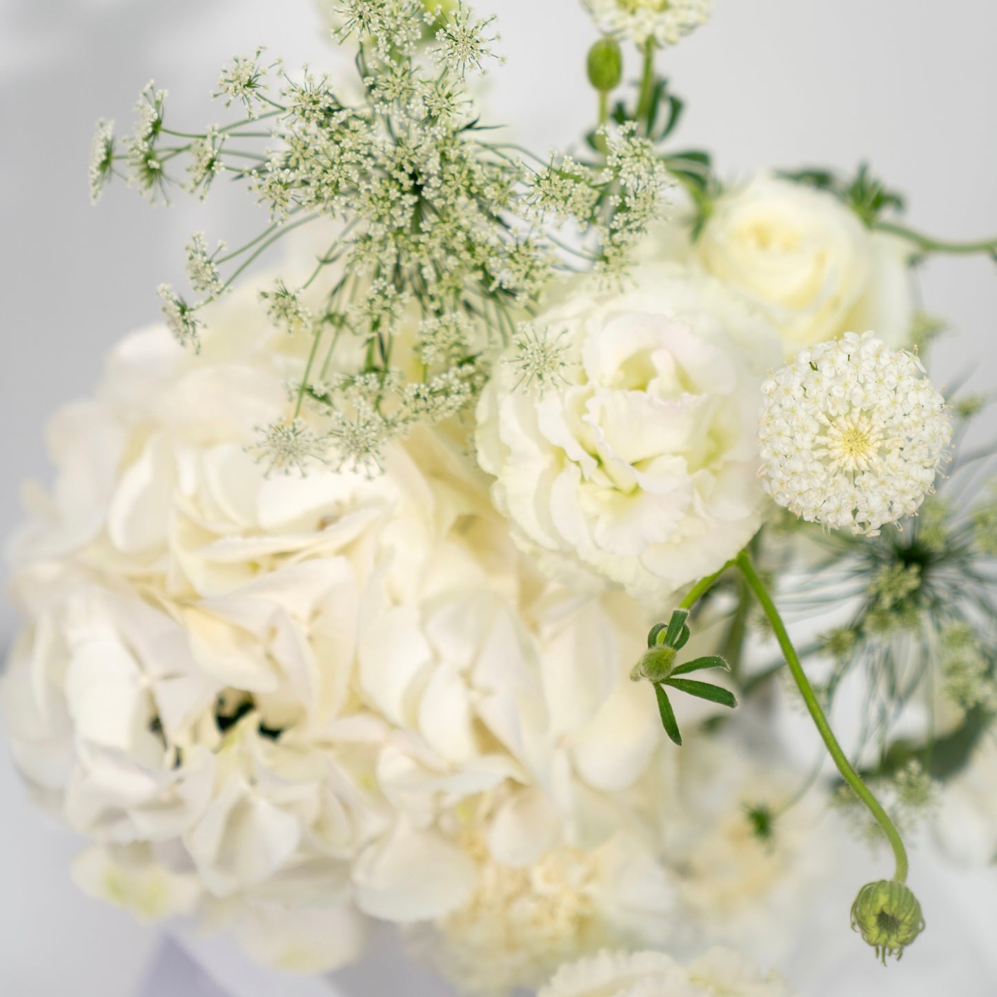 WHITE BLOOM BOX