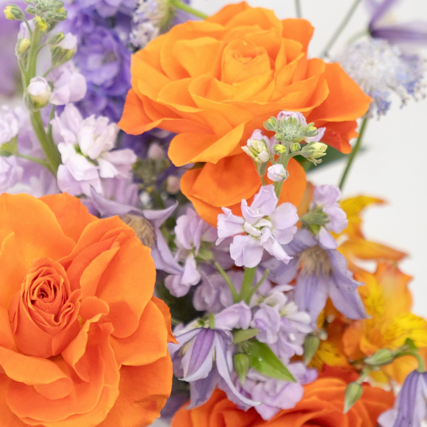 LILAC & ORANGE BLOOM BOX