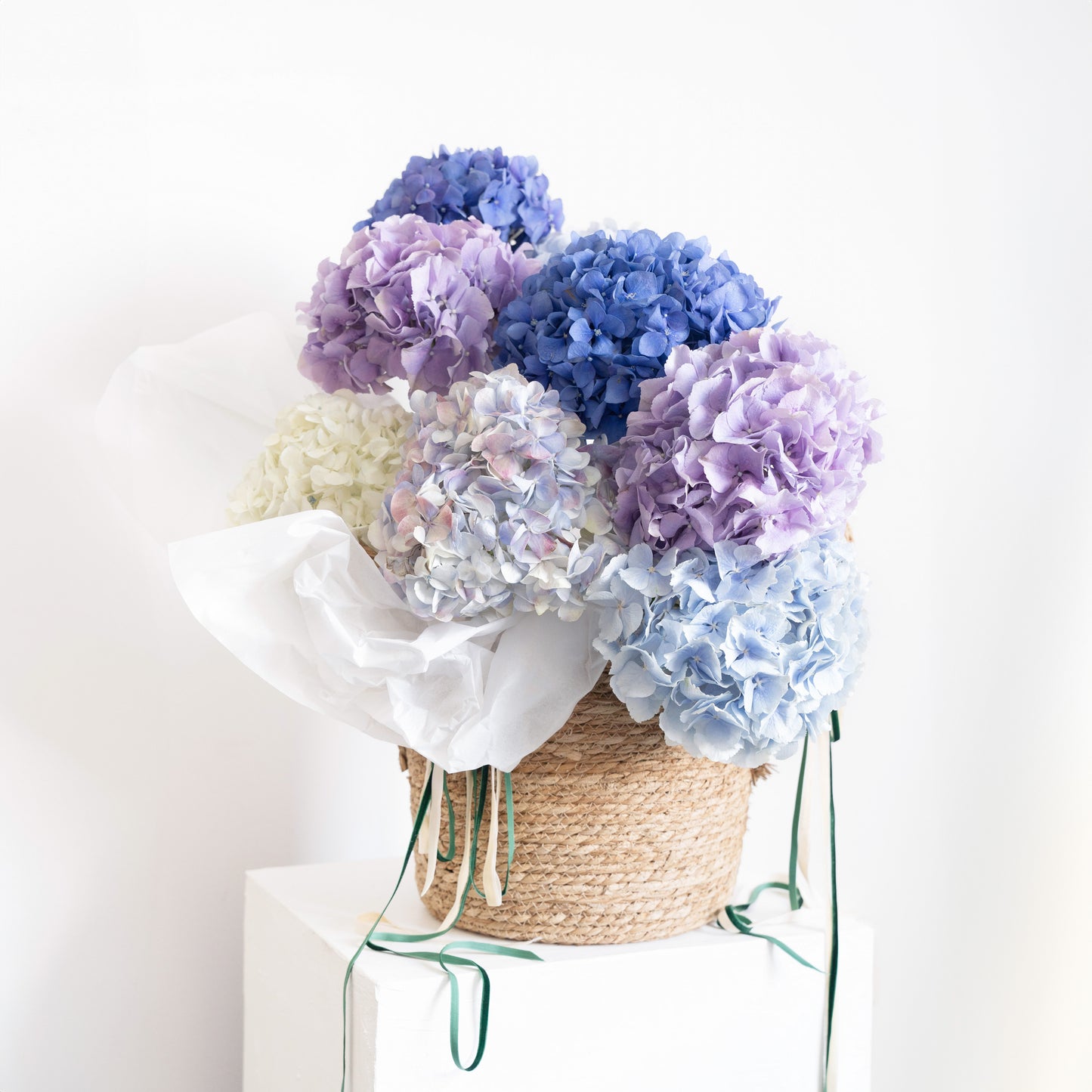 HYDRANGEA BASKET