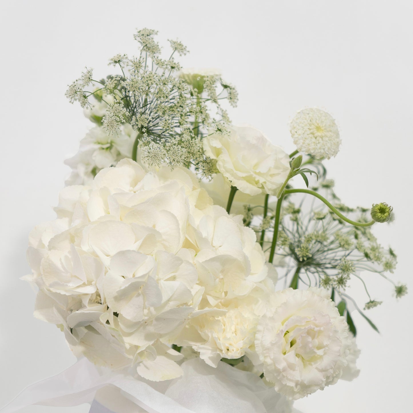WHITE BLOOM BOX