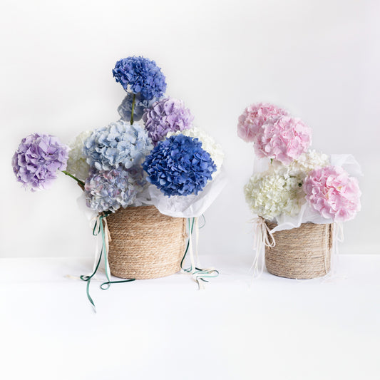 HYDRANGEA BASKET