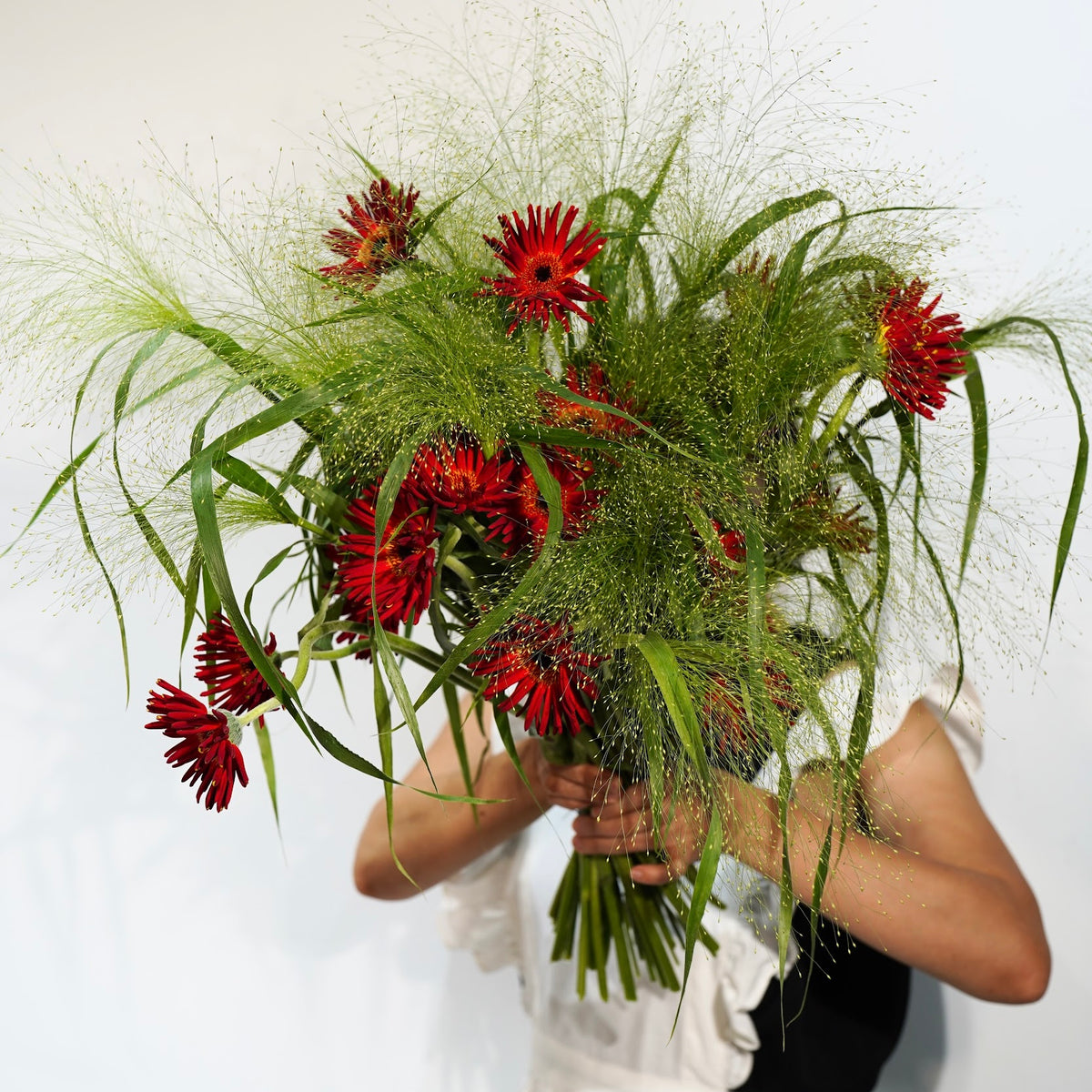 RAW.02 — Wild Red
