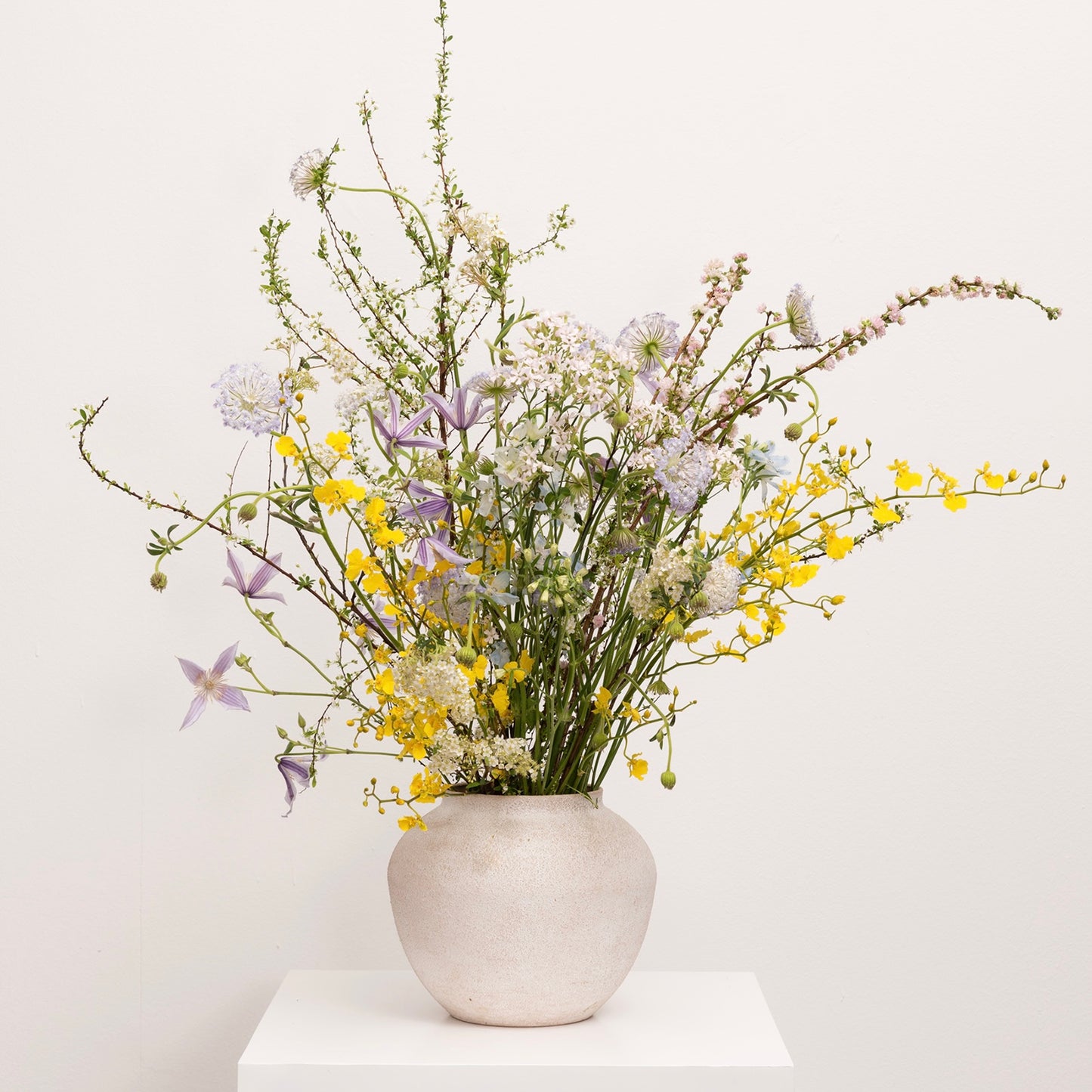 SPRING’S FIRST WHISPER/ 春风初语