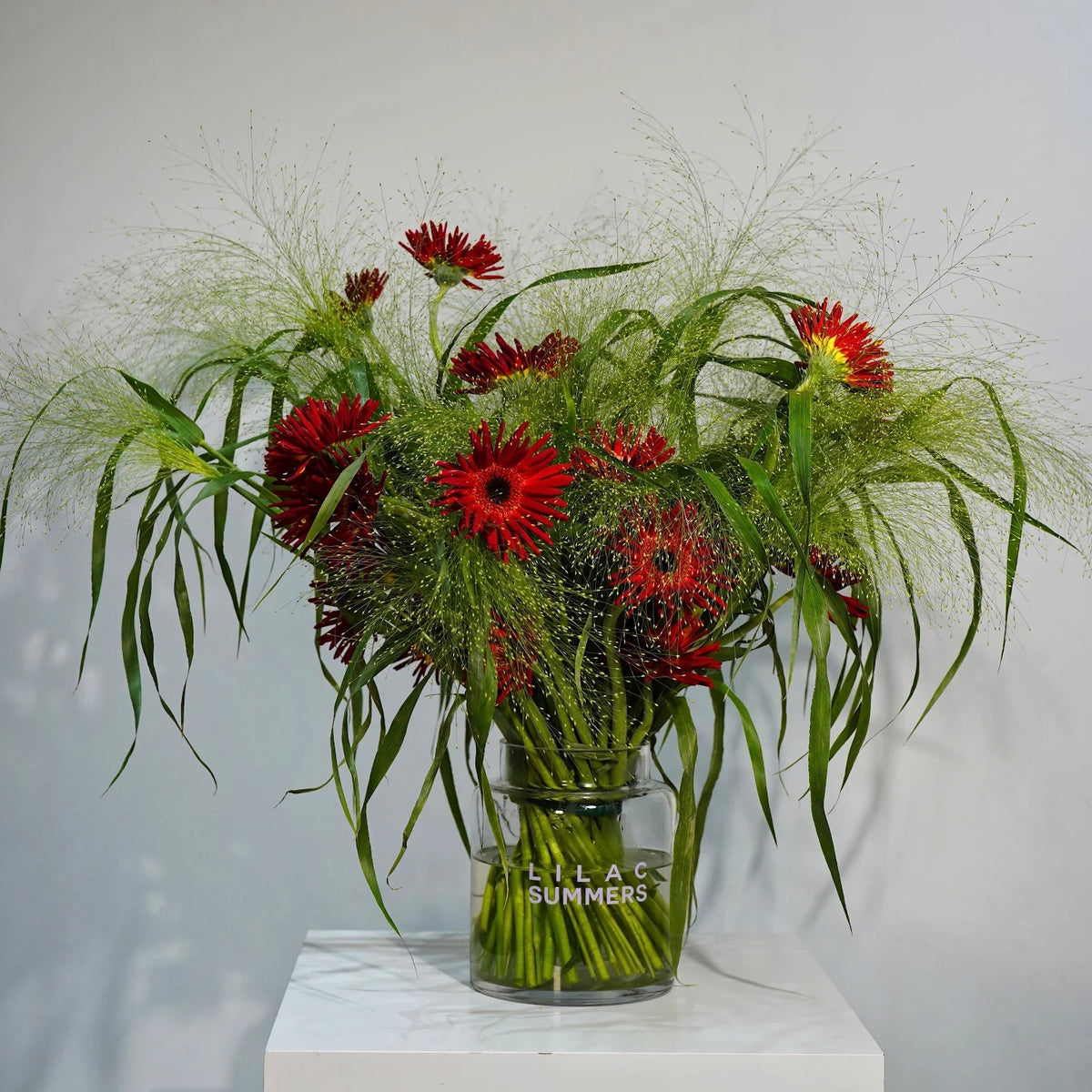 RAW.02 — Wild Red
