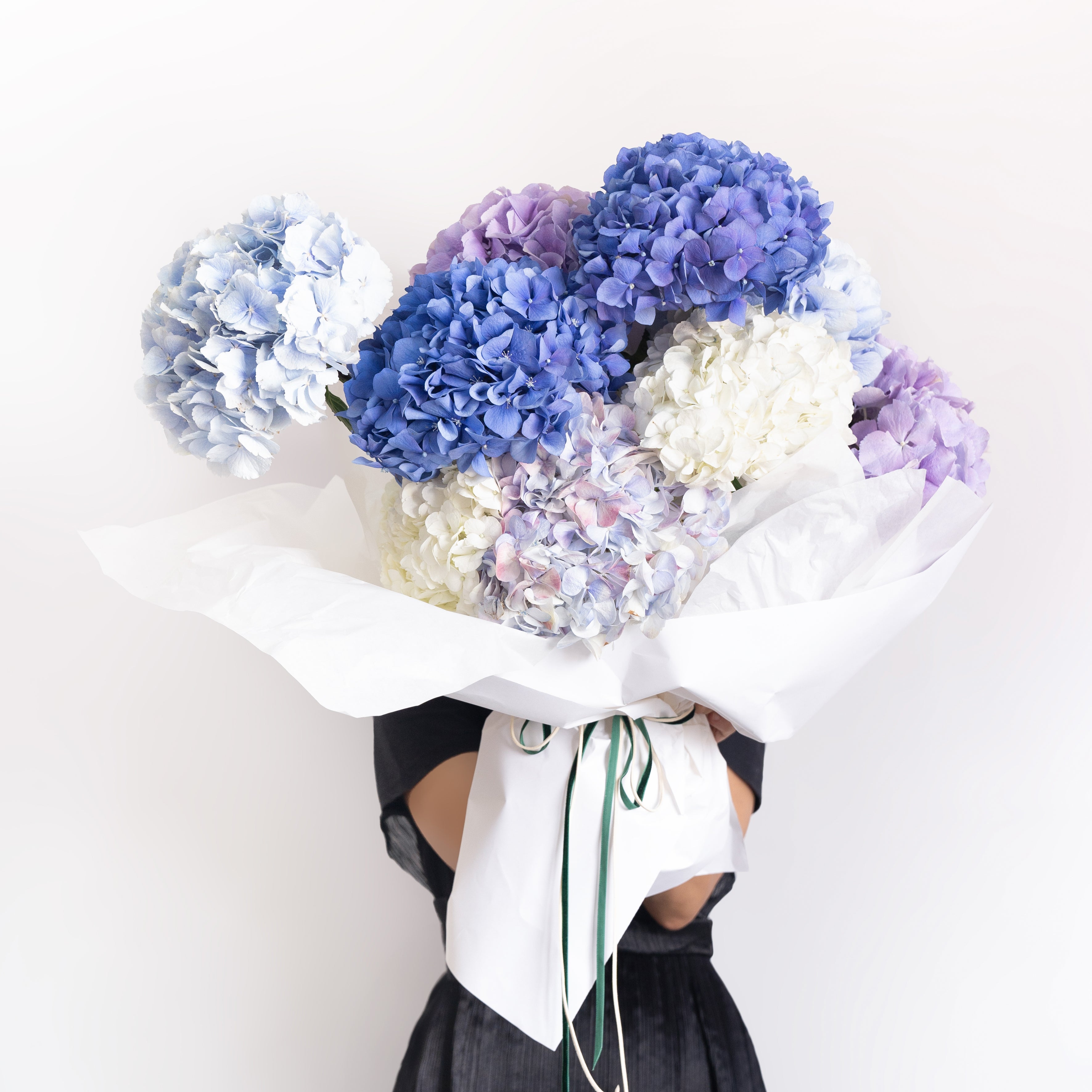 Hydrangea (Bigleaf) Pop Star – Wasson Nursery