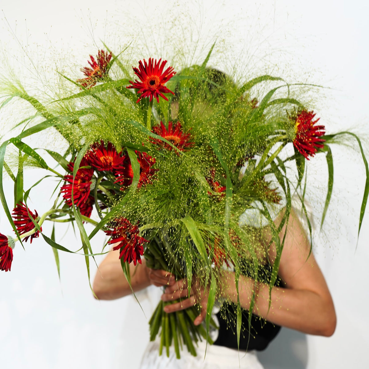 RAW.02 — Wild Red